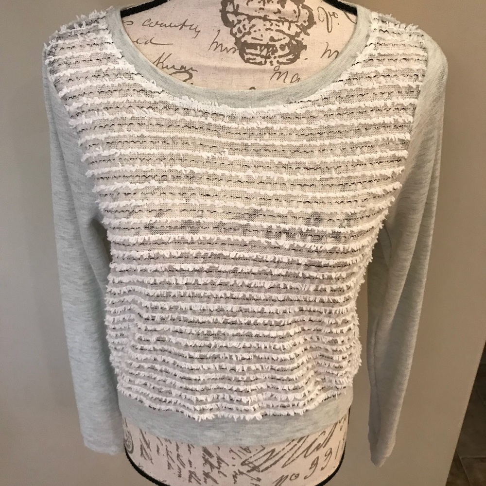 Nordstrom Crop Sweater